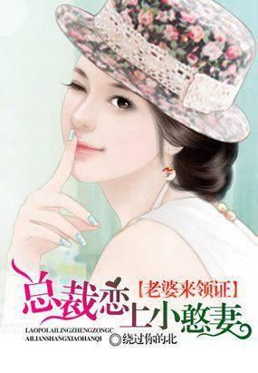 豪门隐婚:双胞胎宝宝的总统爹